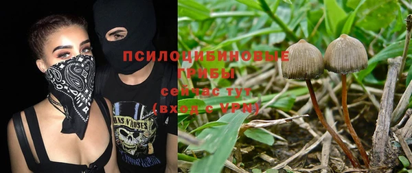 спиды Пестово
