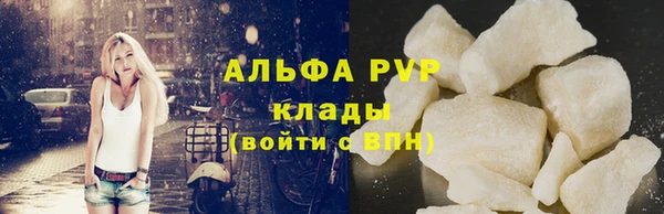 спиды Пестово