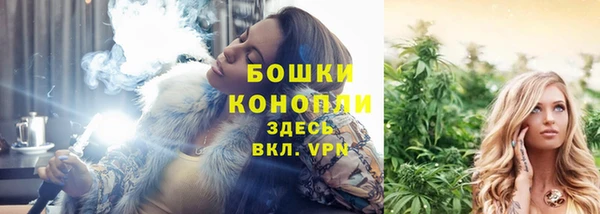 спиды Пестово