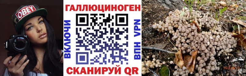 Псилоцибиновые грибы прущие грибы  Купить где  Катав-Ивановск 